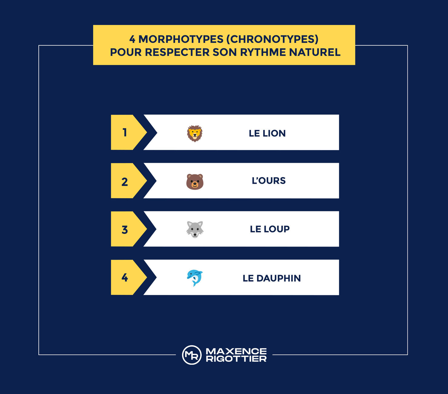 4 morphotypes (chronotypes) pour connaître son rythme