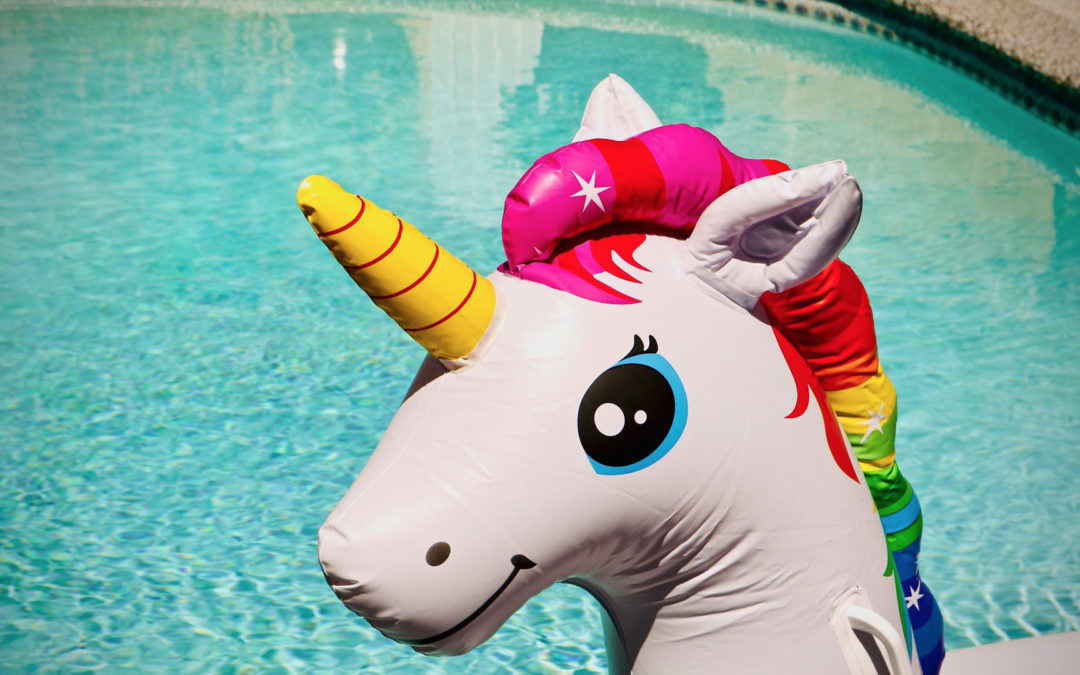 Faut-il investir dans les licornes ? (Snapchat, Dropbox, Pinterest…)